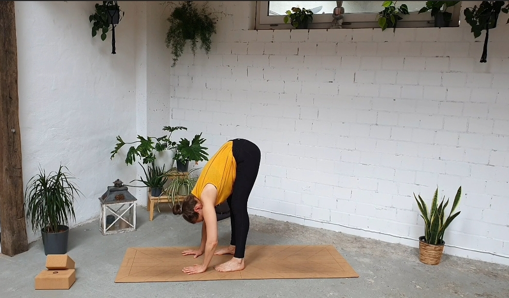 Lilly Rugg Yoga Vorbeuge Rücken Übungen